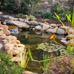 Pond Repair