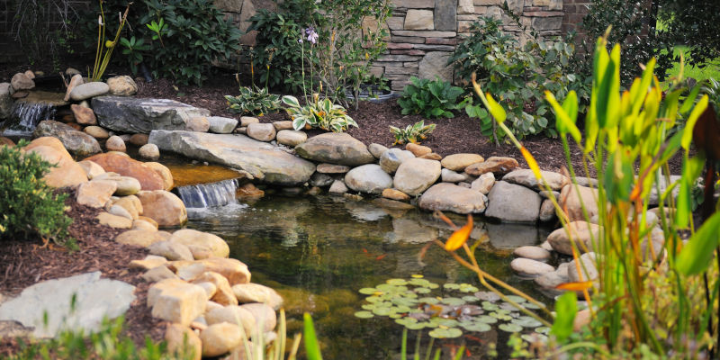Pond Repair in High Point, North Carolina