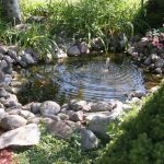 Pond Maintenance