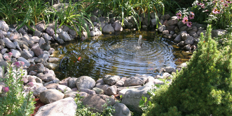 Pond Maintenance in High Point, North Carolina